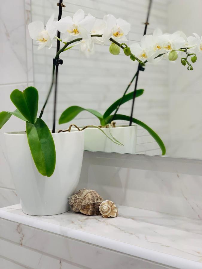 New Appartment In Yuzhny Yuzhne Ngoại thất bức ảnh